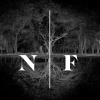 New Forest logo - Similar company to Danger Danger