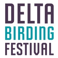 Delta Birding Festival logo - Similar company to Oryx