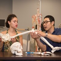 Kinesiology & Applied Physiology at University of Delaware logo - Similar company to The Department Of Biobehavioral Sciences At Teachers College, Columbia University