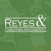 Reyes & Consultores Asociados logo - Similar company to Mic S.A.C.