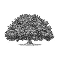 Greencraft logo - Similar company to Sustain.Luxury