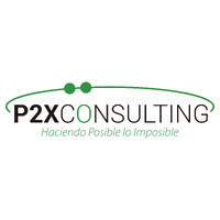 P2X Consulting logo - Similar company to Holding Lace Educacion