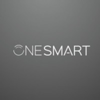 One Network Consulting logo - Similar company to Advanced Consulting One - Aco