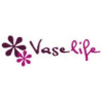 Vaselife International B.V logo - Similar company to Star S.P.A.