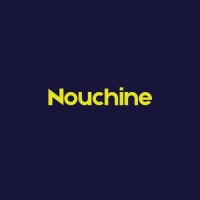 Nouchine Research logo - Similar company to Kass Tech Consulting Solutions