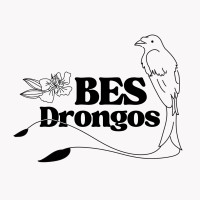 BES Drongos logo - Similar company to Nus Life Sciences Society