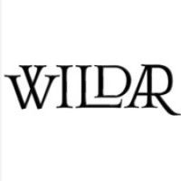 Wildar Gaming logo - Similar company to Studyx Academia