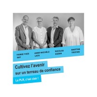 PLR Val De Bagnes logo - Similar company to Igère Sa