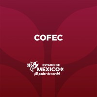 COFEC / Coordination of Economic Development and Competitiveness logo - Similar company to Milled Chile
