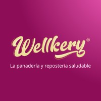 Wellkery logo - Similar company to Wky Digital
