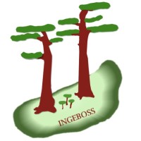INGEBOSS logo - Similar company to W2E Ingeniería Spa