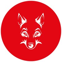 DOBBELAERE-WELVAERT logo - Similar company to Trash-Waste-Solutions Ngo