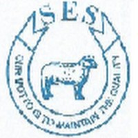 Shaheen Enterprises logo - Similar company to Romil/Autopadova