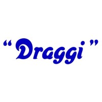 Draggi logo - Similar company to Technirel