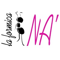 NA' la formica logo - Similar company to Edohub