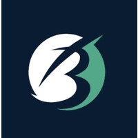 Bex-IT Digital Solutions logo - Similar company to Maocular Tech Expert