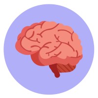 AG Hormon & Gehirn (Prof. Pletzer) logo - Similar company to Ifapp - Institut Für Angewandte Positive Psychologie
