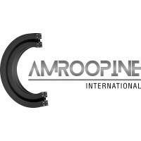 CAMROOPINE INTERNATIONAL logo - Similar company to Bothra Metals & Alloys Limited