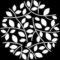 avnihaircare logo - Similar company to Tiarrah