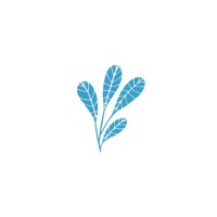 Test logo - Similar company to Singular (Is Future)