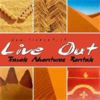 LIVE OUT logo - Similar company to Live-Out
