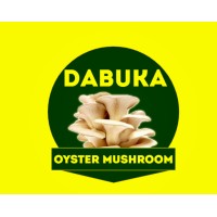 Dabuka Oyster Mushroom logo - Similar company to Tiny Tots Jnr School