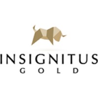 Insignitus Gold logo - Similar company to Goldman Graff