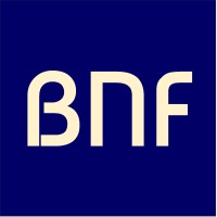 Bnf Consulting