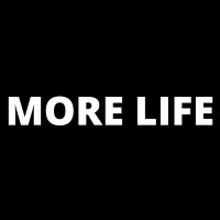 MORE LIFE Hospitality GmbH logo - Similar company to Vikarus Gmbh
