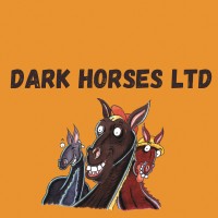 DARK HORSES LIMITED logo - Similar company to Legacy Analytics