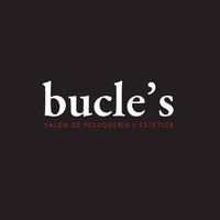 Bucles logo - Similar company to Auditor De Cuentas Independiente