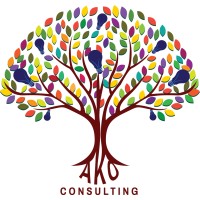 Ako Consulting