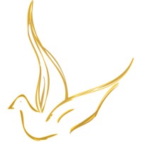All Flame Capital logo - Similar company to Commerce Bank & Trust