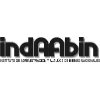 INDAABIN logo - Similar company to Anuvac Asociación Nacional De Unidades De Valuación