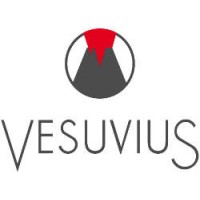 Vesuvius India & South East Asia logo - Similar company to Vesuvius