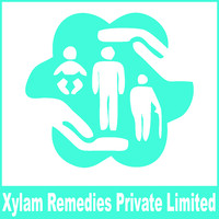 Xylam Remedies Private Limited logo - Similar company to Silver Stone Webtech Private Limited