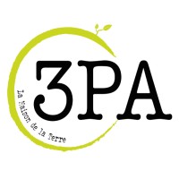 3PA logo - Similar company to Space Invaders