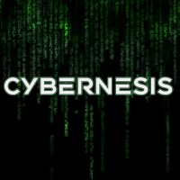 CYBERNESIS logo - Similar company to Objectivity.Ca