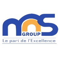 MIDNIGHT SUN (MNS GROUP) logo - Similar company to Mingary