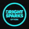 Bright Sparks of York logo - Similar company to Clement Leadership Development