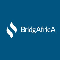 BridgAfricA logo - Similar company to The Bold New Company