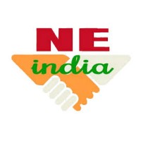 Ne India News logo - Similar company to Siliguri Barta