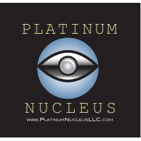 Platinum Nucleus Enterprises Inc logo - Similar company to Magnetic Precision Logistics