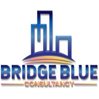 Bridge Blue Consultancy logo - Similar company to Dada Proiect