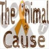 The Animal Cause, Inc. logo - Similar company to Buses4Homeless Cic