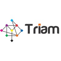 Triam Systems logo - Similar company to Digiquack Technologies