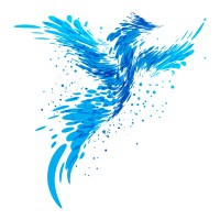 Denmark/Pakistan IT Entrepreneur Forum (DPEF) logo - Similar company to Riwu Aps