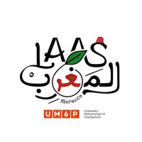 IAAS Morocco - UM6P logo - Similar company to Collective Intelligence Consortium - Um6P