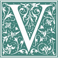 Vesalius Trust logo - Similar company to S&A Medical Graphics