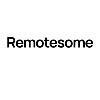 Remotesome logo - Similar company to Adplan.Io